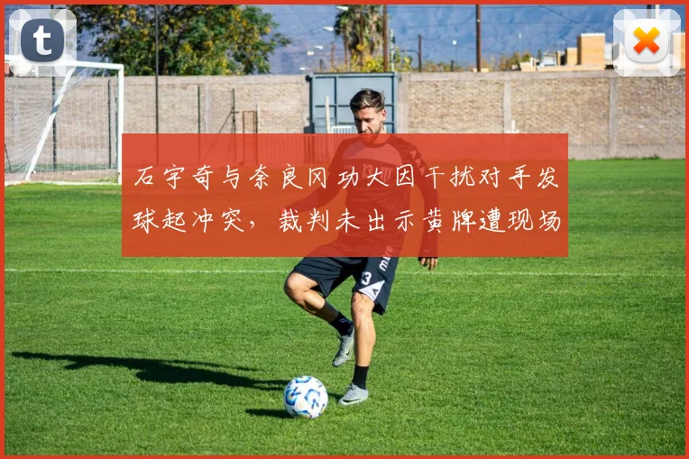 石宇奇与奈良冈功大因干扰对手发球起冲突，裁判未出示黄牌遭现场观众嘘声